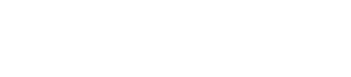 WisdomAI